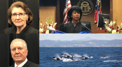Judge Adele P. Grubbs (top left), Judge G. Grant Brantley (bottom left), Judge Melynee Leftridge (top right), Pod of Orca Whales (bottom right)